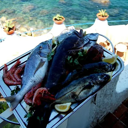 酒店 Cirucco Village